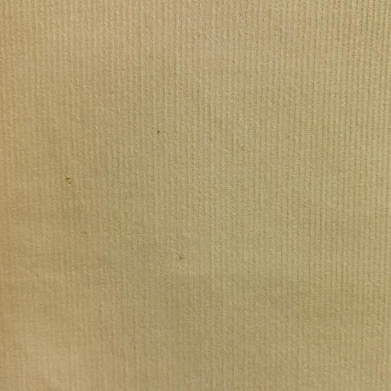 Velours Coton 1000 Raies Vanille | 1m x 1m45