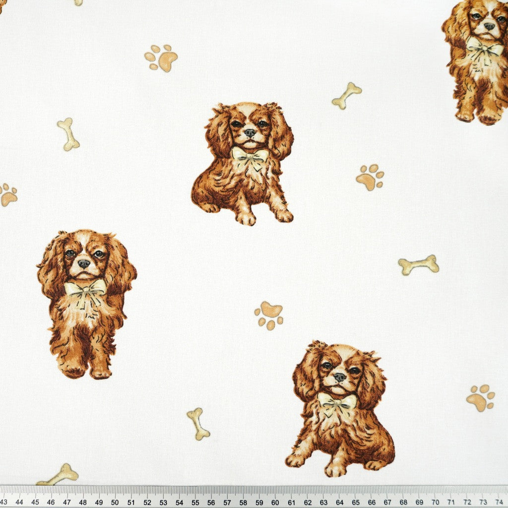 Tissu Coton Chien Spaniel Fond Blanc | Laize 1m55