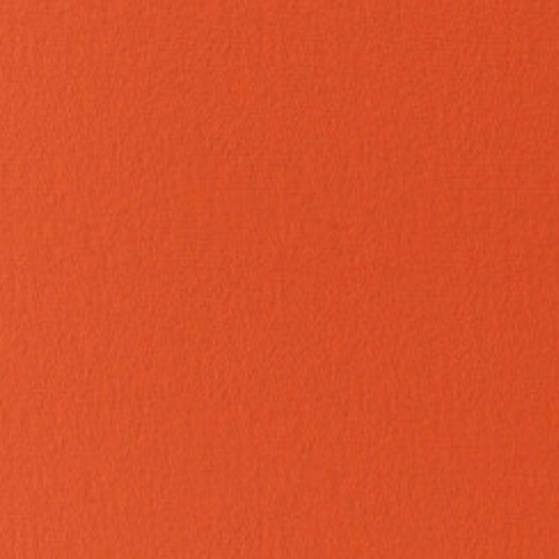 Coton Jersey Uni Orange Tangerine | 1m x 1m50 | 220gr/m²