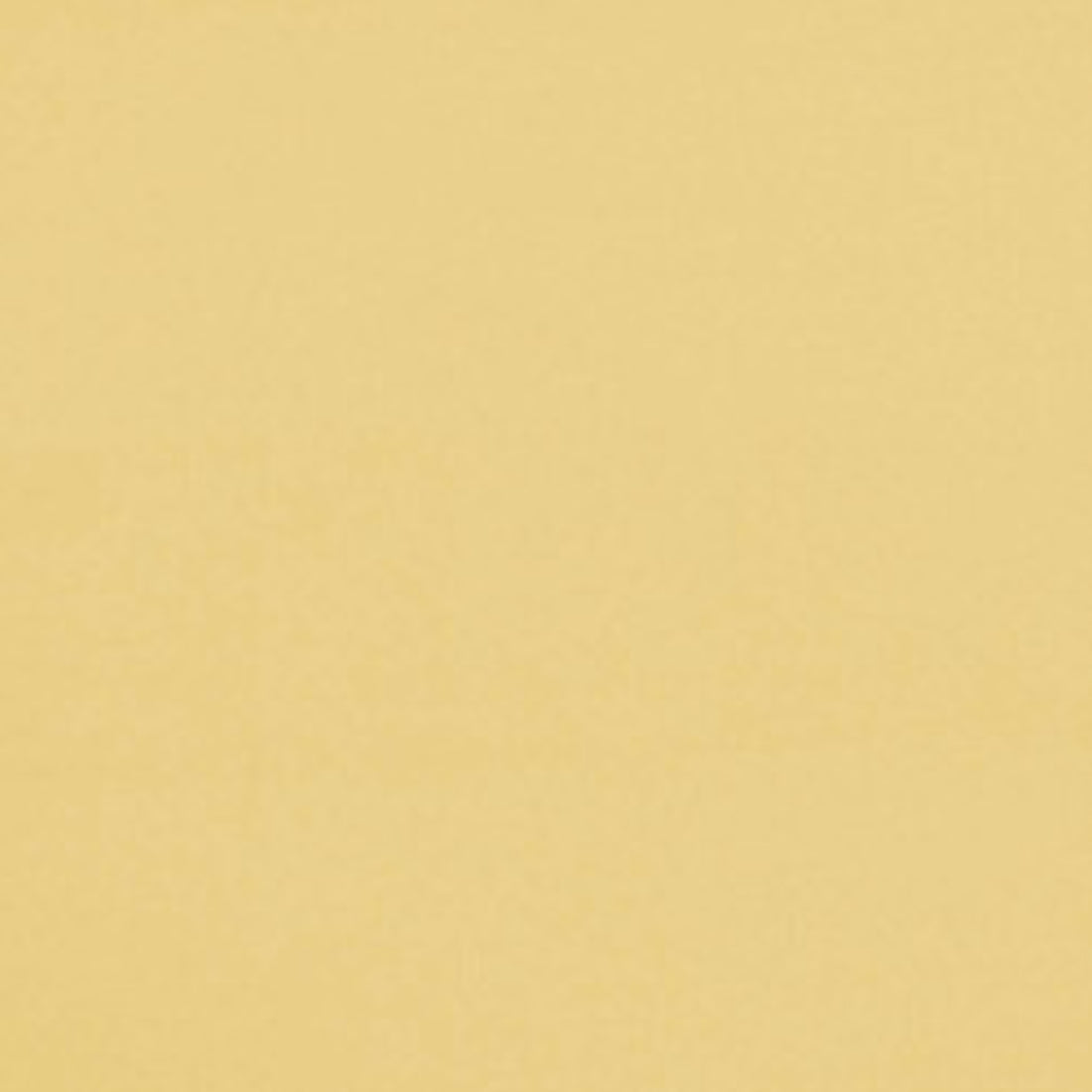 Coton Jersey Uni Jaune Vanille | 1m x 1m50 | 220gr/m²