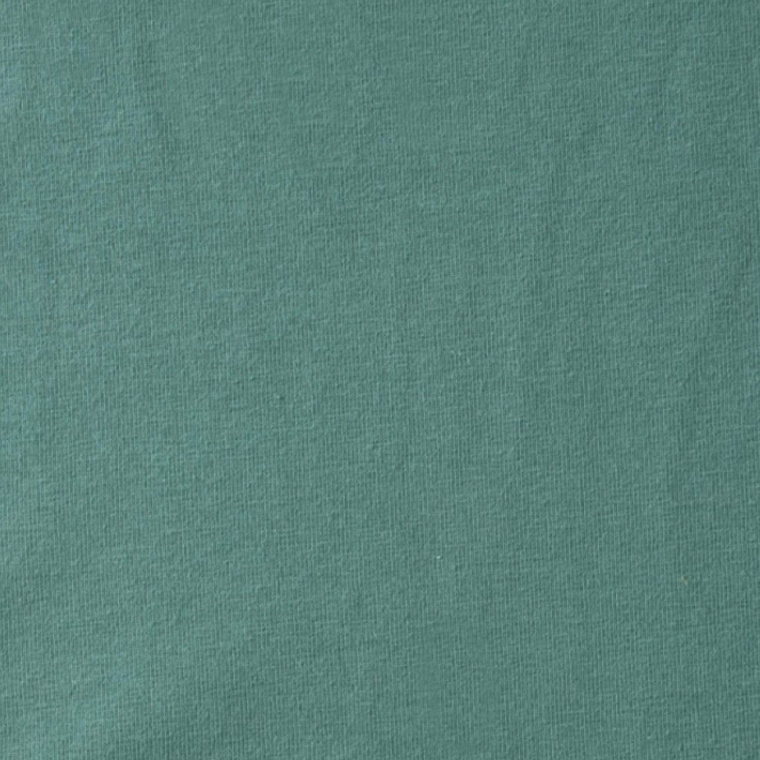 Coton Jersey Uni Vert Eucalyptus | 1m x 1m50 | 220gr/m²