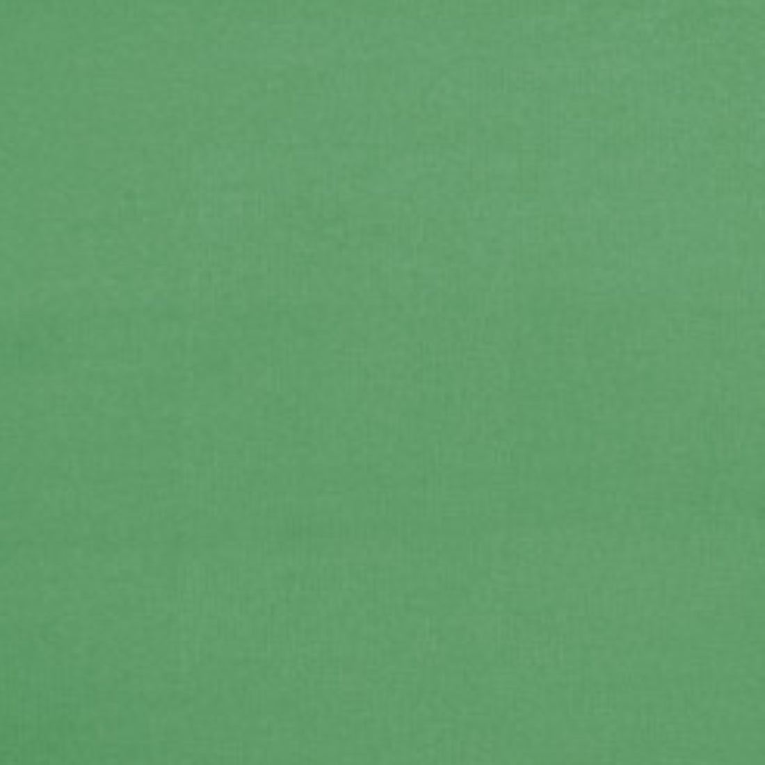 Coton Jersey Uni Vert | 1m x 1m50 | 220gr/m²