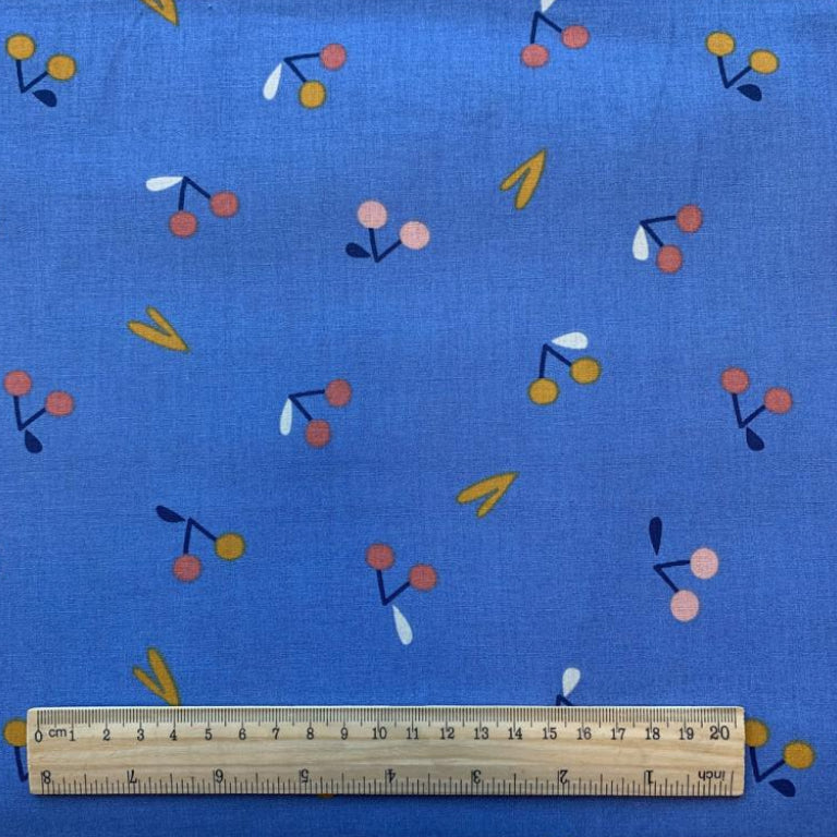 Fruits Griottes Fon Bleu | 1m x 1m50